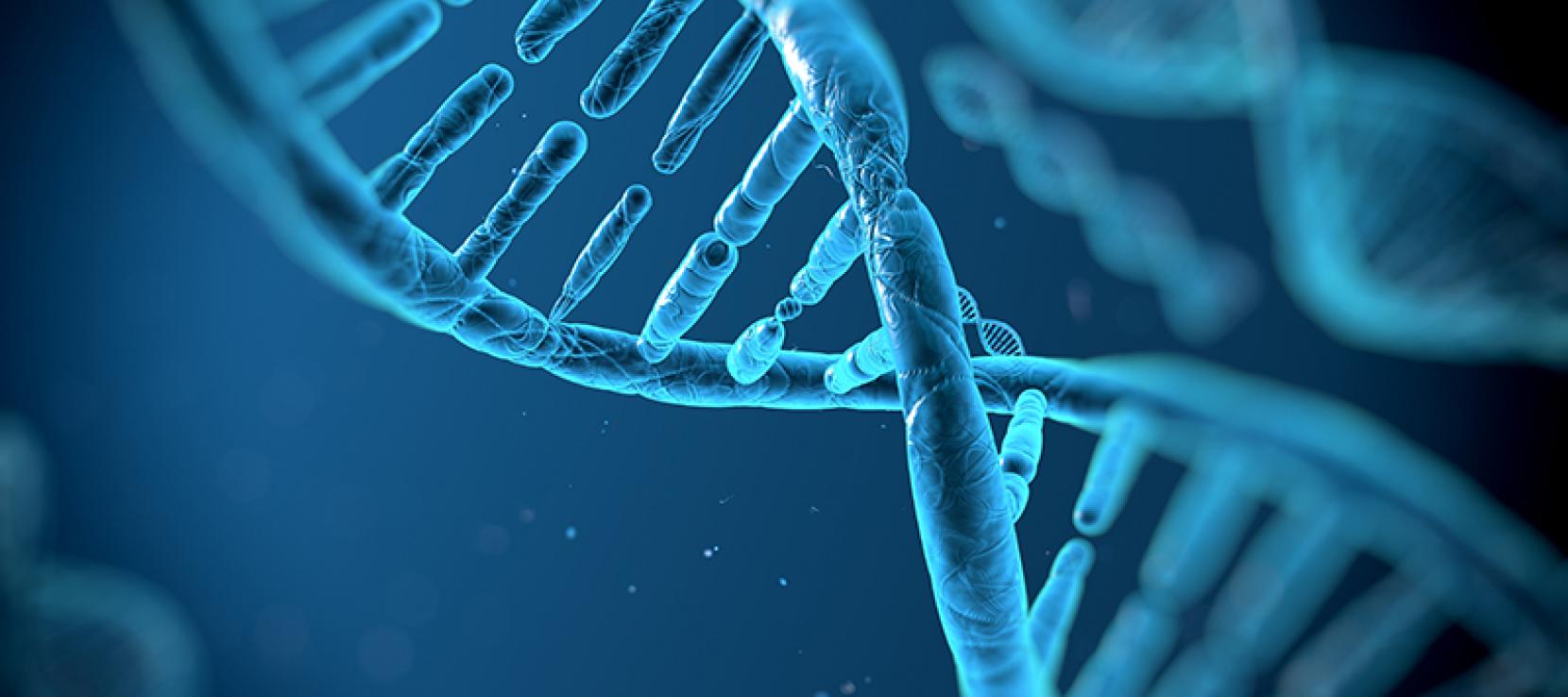 ADN Molécule d'ADN